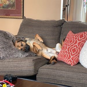 Meet your Posher, James